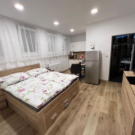 Apartmany U Jelena 1 Český Krumlov المظهر الخارجي الصورة